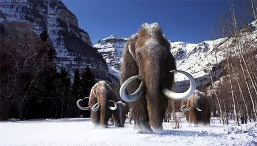 3D printing Mammoth 05