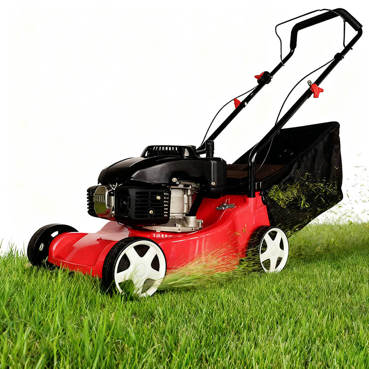 PD-PM4103C Gasoline Lawn Mower-1