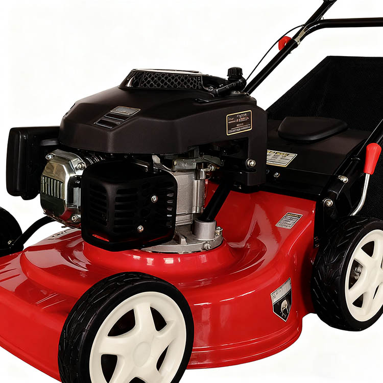 PD-PM4602 Gasoline Lawn Mower-1
