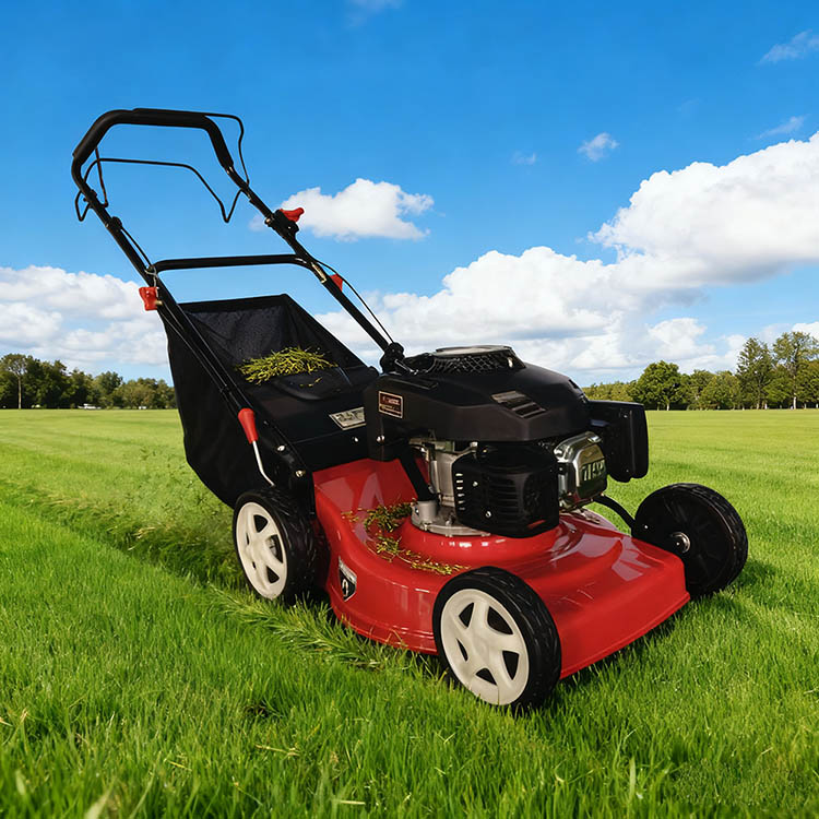PD-PM4602 Gasoline Lawn Mower-5