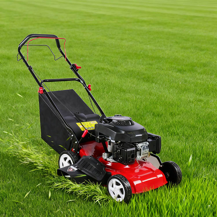 PD-PM4605 Gasoline Lawn Mower-1