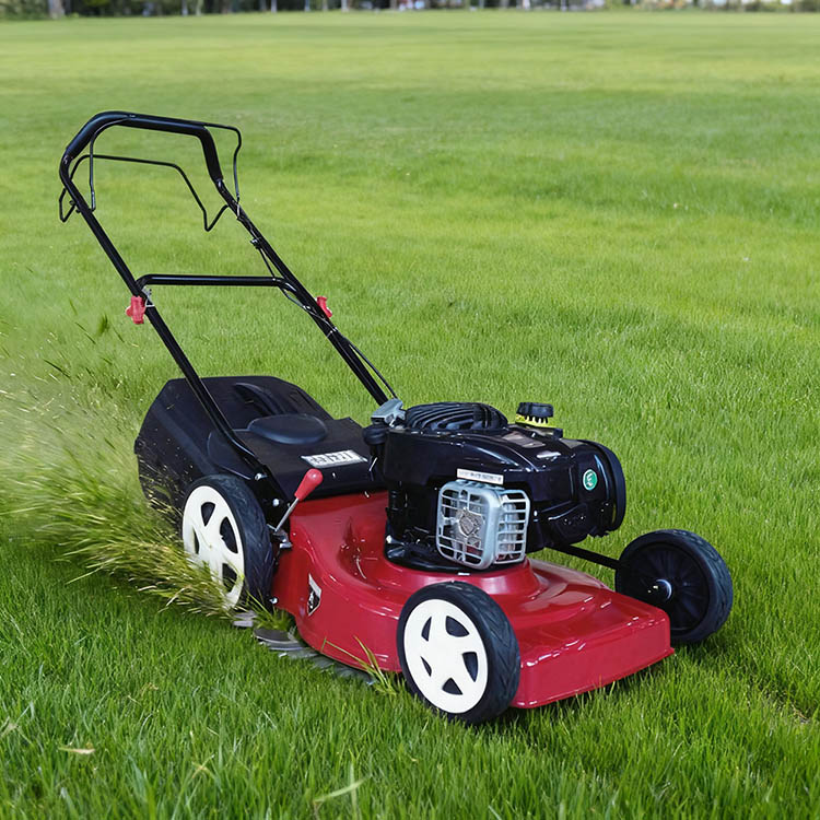 PD-SM4606 Gasoline Lawn Mower-3