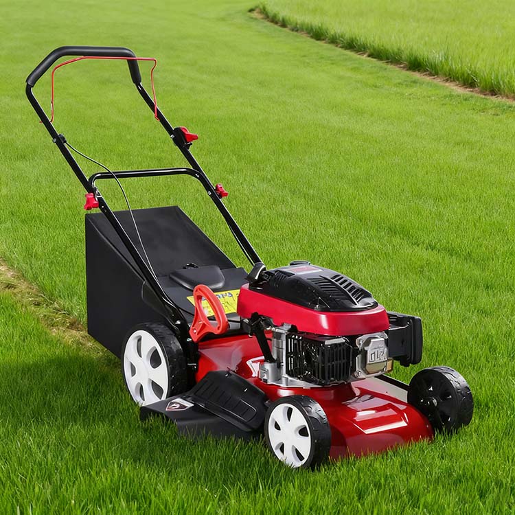 PD-SM5104B Gasoline Grass Cutter-1