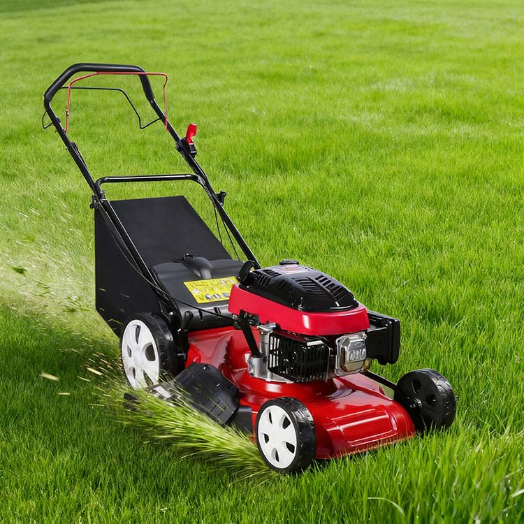 PD-SM5104D Gasoline Lawn Mower-1
