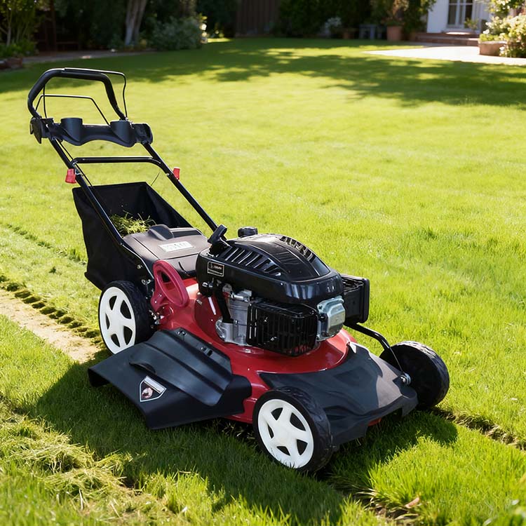 PD-SM5302 Grass Cutting Machine-4