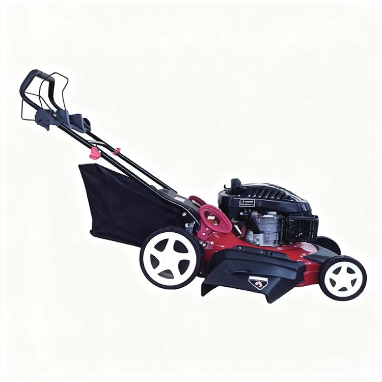 PD-SM5302 Grass Cutting Machine-5
