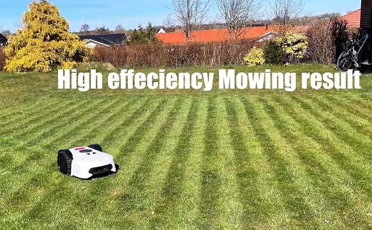 PDM22 Electric Lawn Mower-9