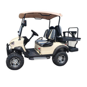 PDKB4H golf Cart-2