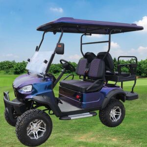 PDKB4H golf Cart-5