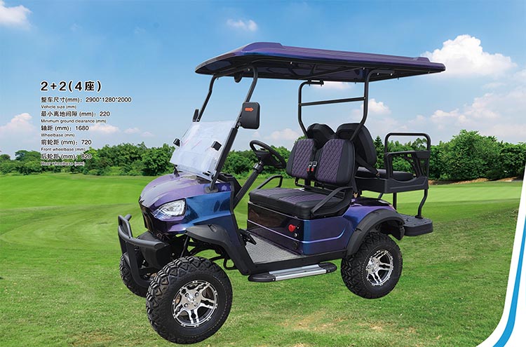 PDKB4H golf Cart-6