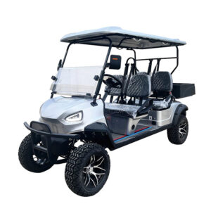 PDKB4Q golf cart-2