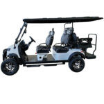 PDKC4+2H Golf Cart-1