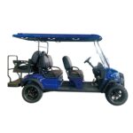 PDKC4+2H Golf Cart-3