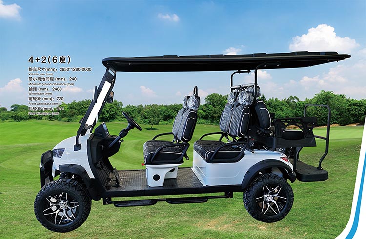 PDKC4+2H Golf Cart-5