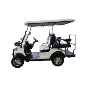 PDKC4H Golf Cart-10
