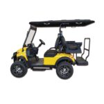 PDKC4H Golf Cart-5