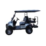 PDKC4H Golf Cart-6