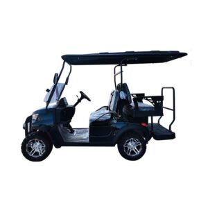 PDKC4H Golf Cart-7