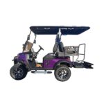 PDKC4H Golf Cart-8