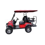 PDKC4H Golf Cart-9