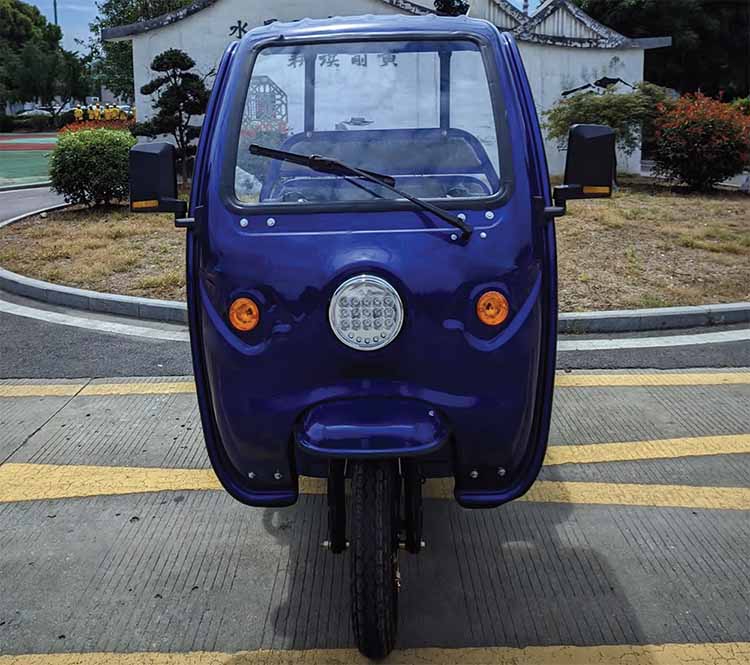 Cargo Tricycle 01