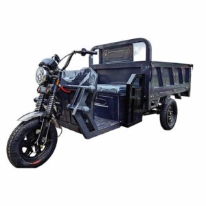 Cargo Tricycle 04