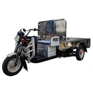 Cargo Tricycle -3