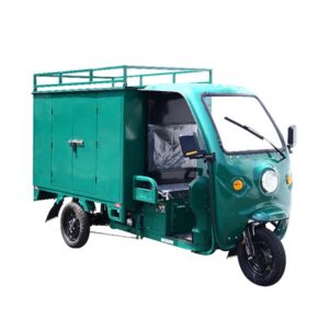 Closed Electric Tricycle -9