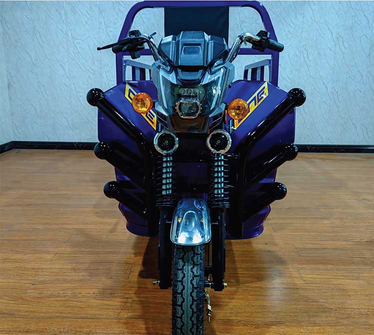 Electric Cargo Tricycle -1