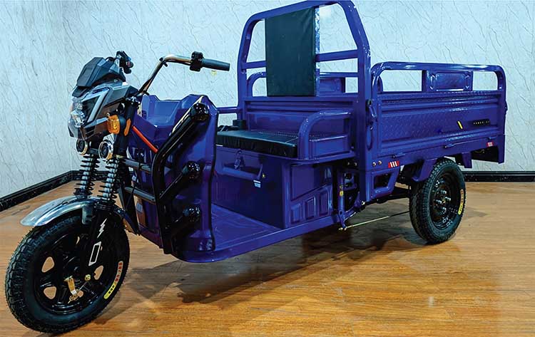 Electric Cargo Tricycle -3