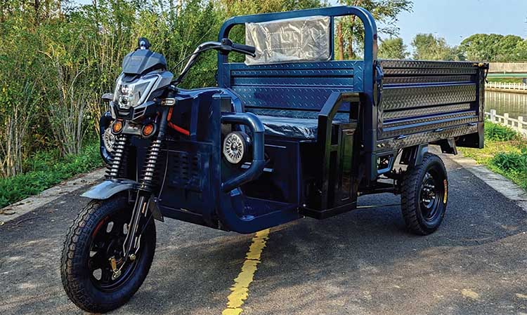 Electric Cargo Tricycles --3