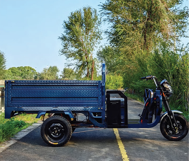 Electric Cargo Tacricycles --4