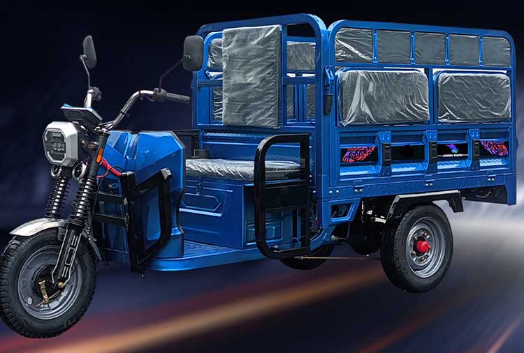 Electric Cargo tricycle 01