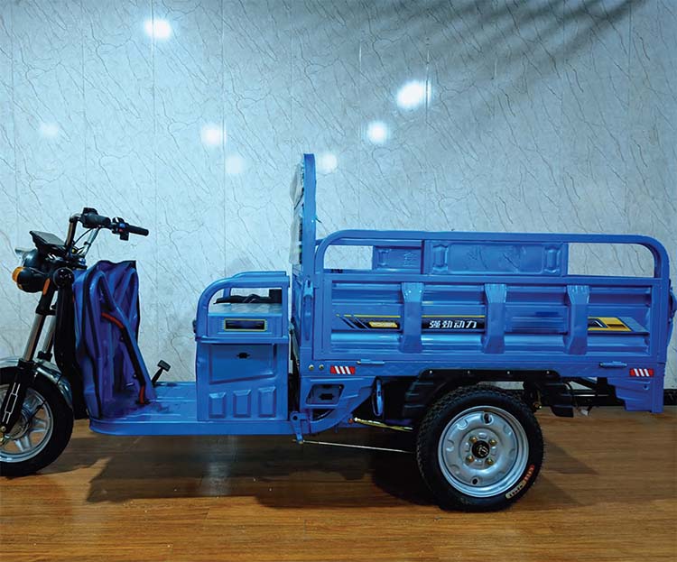 Electric Tricycle 04