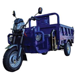 Electric Tricycles 03