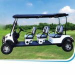 Golf Cart PDKC6Q-5