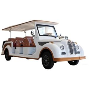 Sightseeing Car PDLY8-11 -1