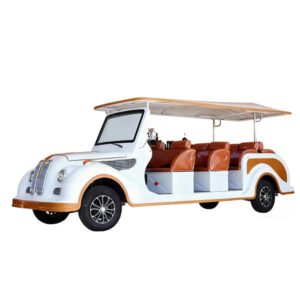 Sightseeing Car PDLY8-11 -8